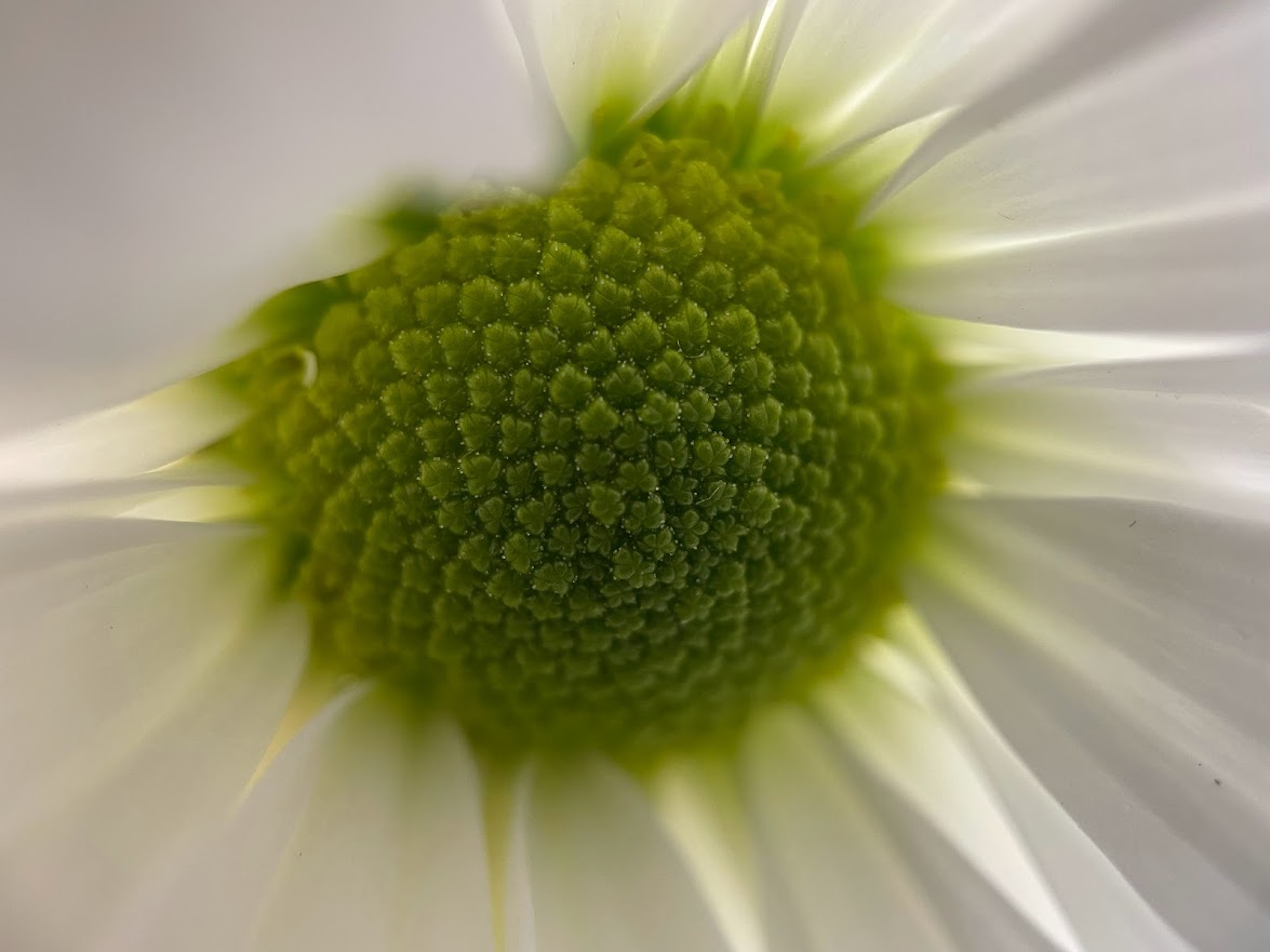 Lisa Winkler tweet media