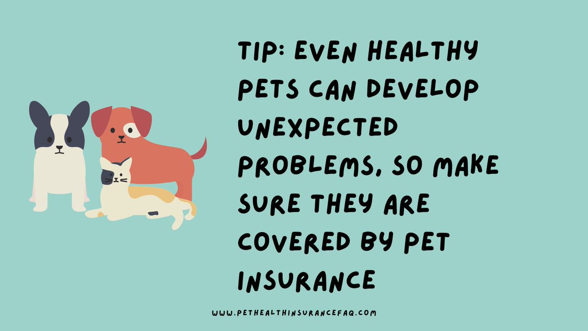 petfaq's tweet photo. #pethealth #petcare #FAQ #insurance #dogs #cats https://t.co/fXdnTPF2wb