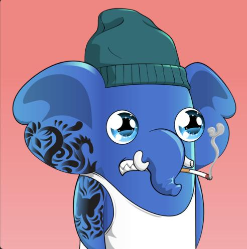 The Chill Elephants Club tweet media