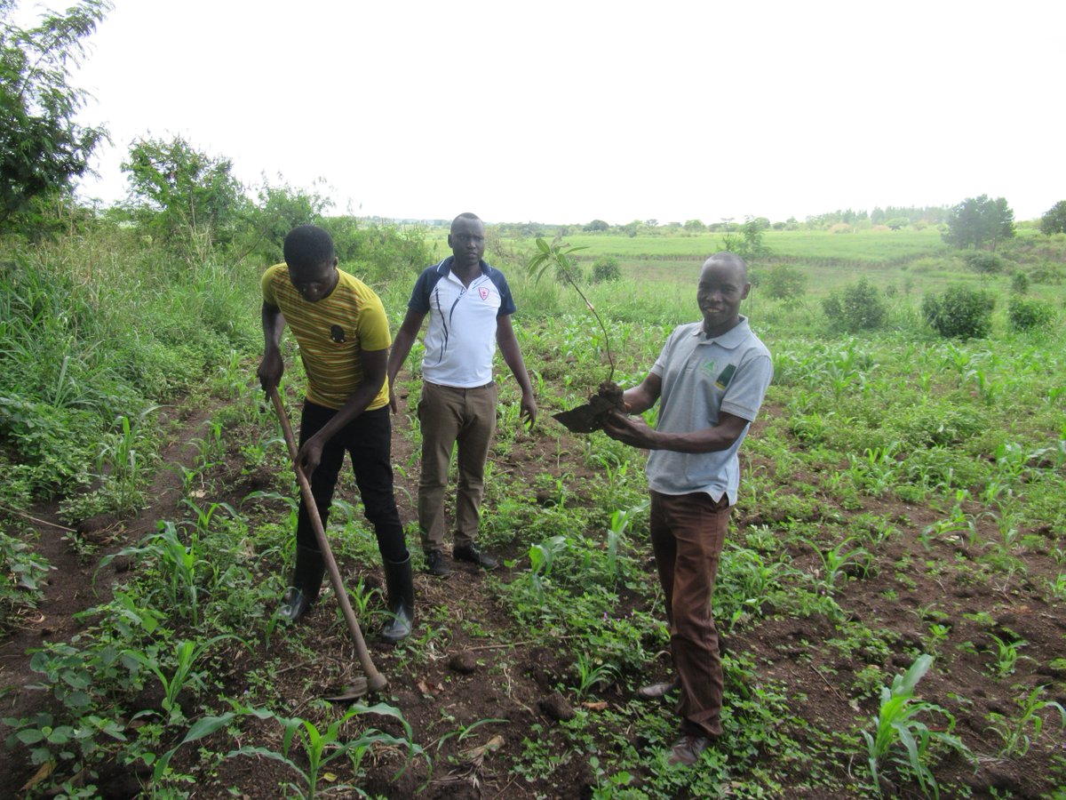 As I celebrate my birthday today, I have decide to plant a tree as sign to fight climate change. I encourage everyone to do the same.