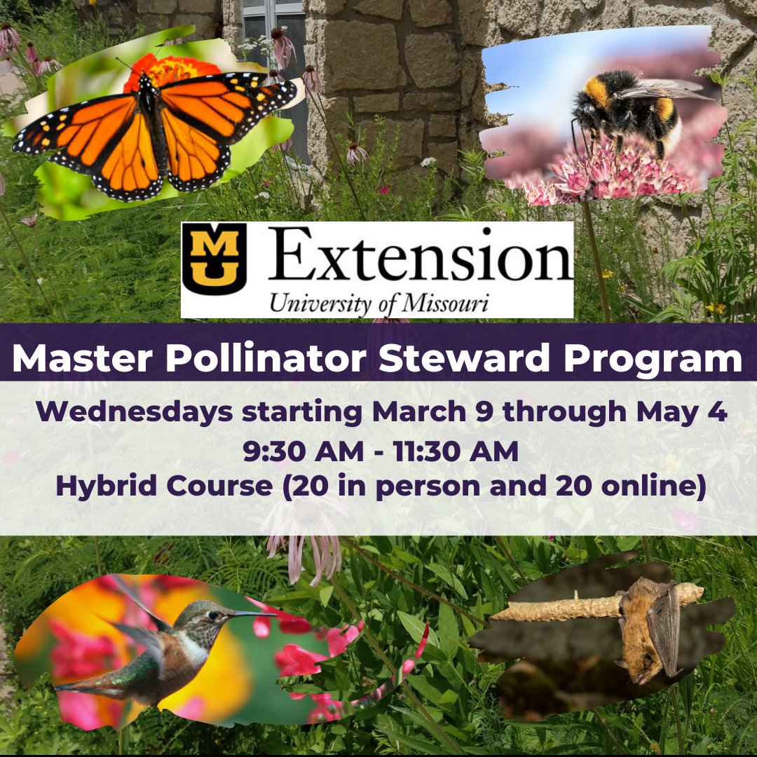 Register at bit.ly/3vbpoJf