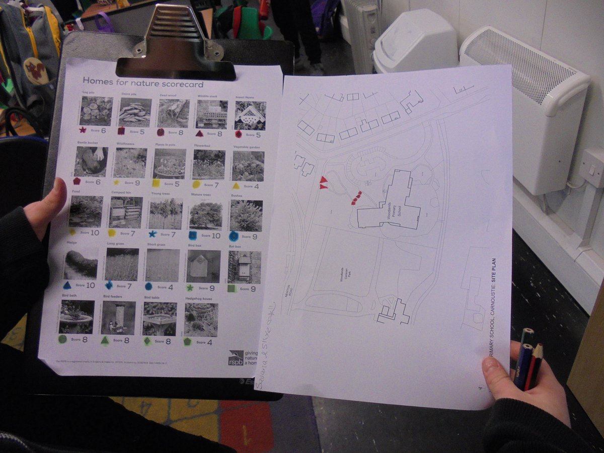 WoodlandsPrim1's tweet image. Primary 5 searched the school grounds for a variety of habitats today.  We then plotted the habitat on a map of our school grounds. #successfullearners #outdoorlearning #RSPBWildChallenge @LtLScotland