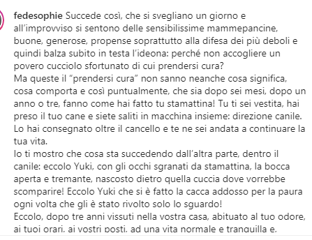 zampa_qua's tweet photo. STRAURGENTISSIMO🆘🆘🆘🆘🆘☎️3476089257  leggete🔽🐕YUKI,con gli occhi sgranati,la bocca aperta e tremante,nascosto dietro quella cuccia, si è fatto la cacca addosso .QUANTO STARA' SOFFRENDO😭 ADOTTATELO VI PREGO GLI SALVERETE LA VITA #4voiceless🙏😣🏡Trani https://t.co/095S0uLMUC