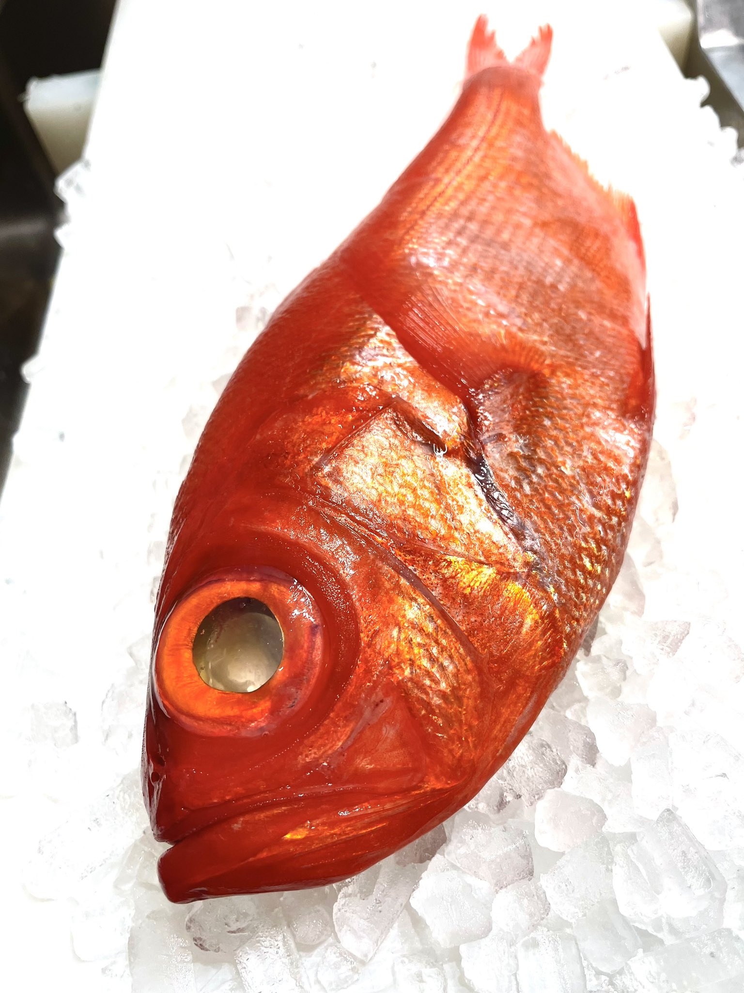 鰓呼吸 石垣島 キトキトな金目鯛 石垣島で 内地の魚が食べたくなったら 鰓呼吸へどうぞ 沖縄 石垣島 海鮮居酒屋 鰓呼吸 石垣島鰓呼吸 金目鯛 刺身 激ウマ おつまみ T Co Rfvhgdrvfz Twitter