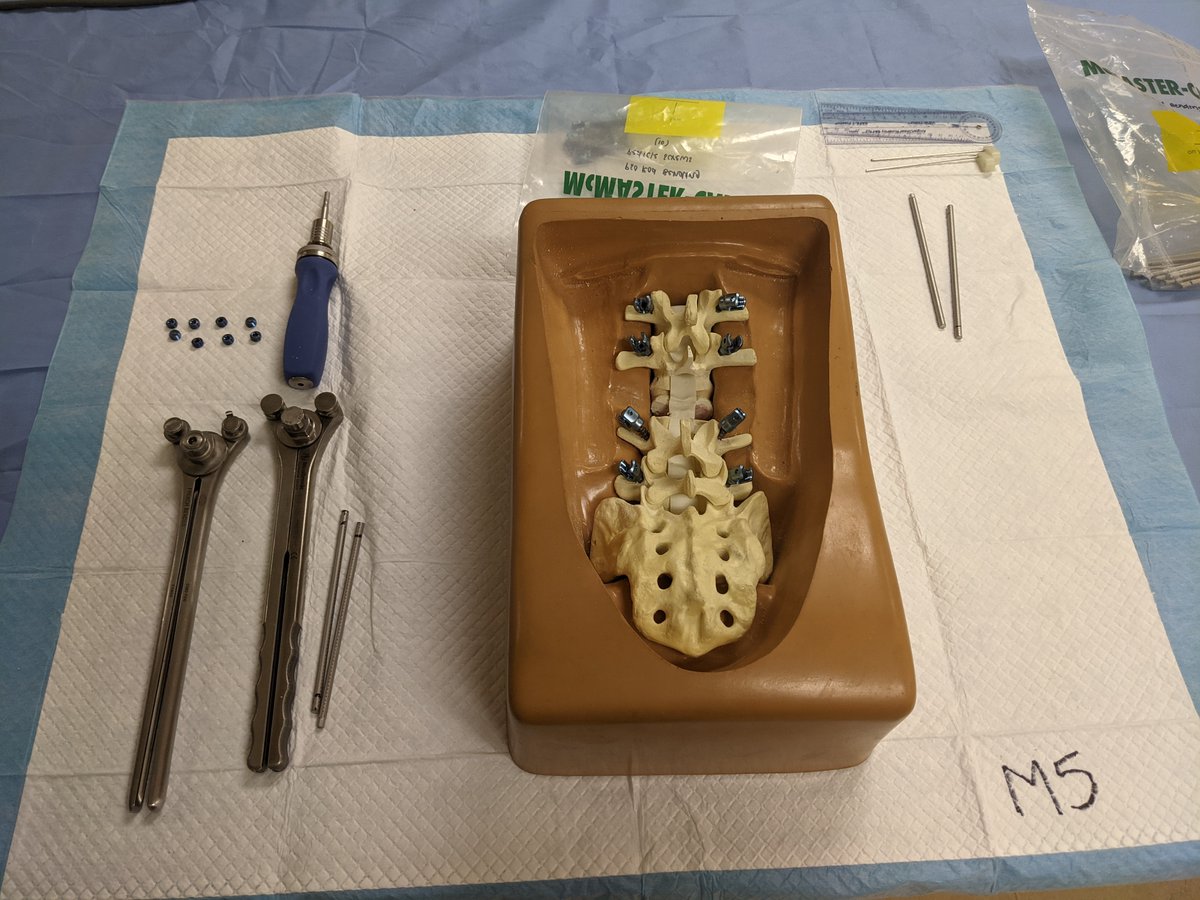 The Taylor Collaboration tweet media