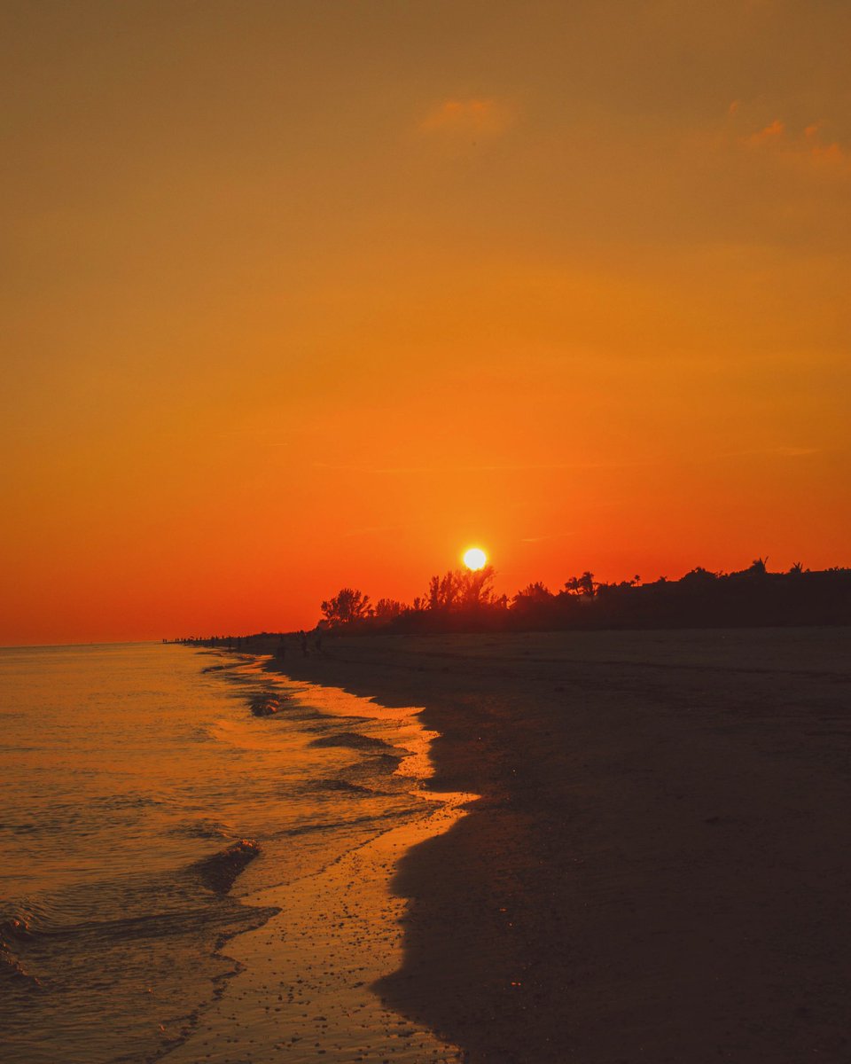 GM 🌅 it’s official, I’ll be back here in 2 weeks 🌴can’t wait for some sun and sand. #florida