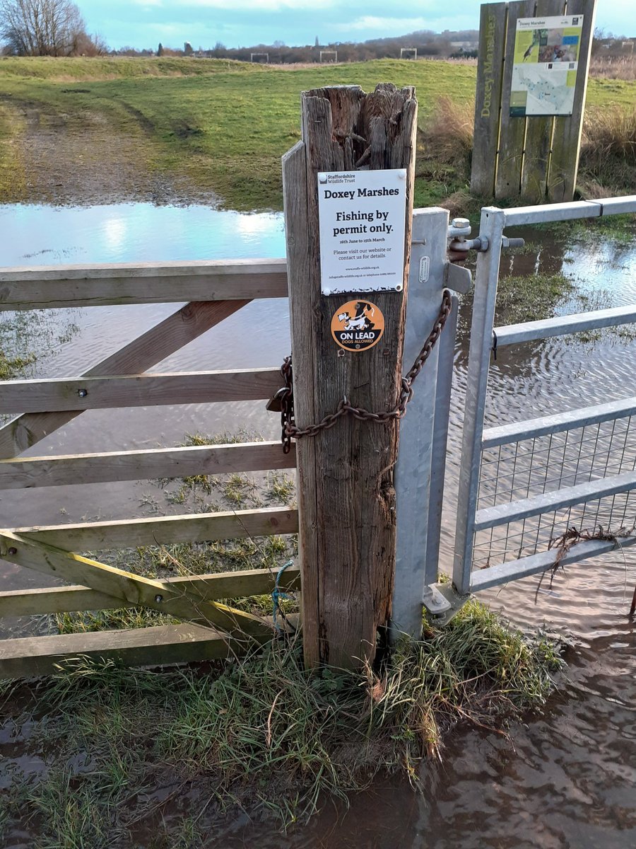 matthewdsmith73's tweet photo. Doxey marshes walk, wellies still needed. #litterpick https://t.co/Xc1JqBZSpj