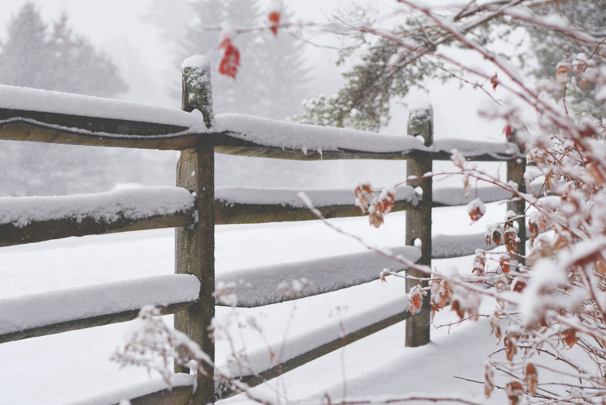 WeFarmOhio's tweet photo. Frustrated from trying to plow through snow drifts? According to @SuccessfulFarm, a heavy-duty, prefabricated plastic fence with half-solid and half-open spaces allows most of the snow through the fence but slows the wind, which helps prevent drifting. https://t.co/jsdrv6mudS https://t.co/mjqgiYIwcZ