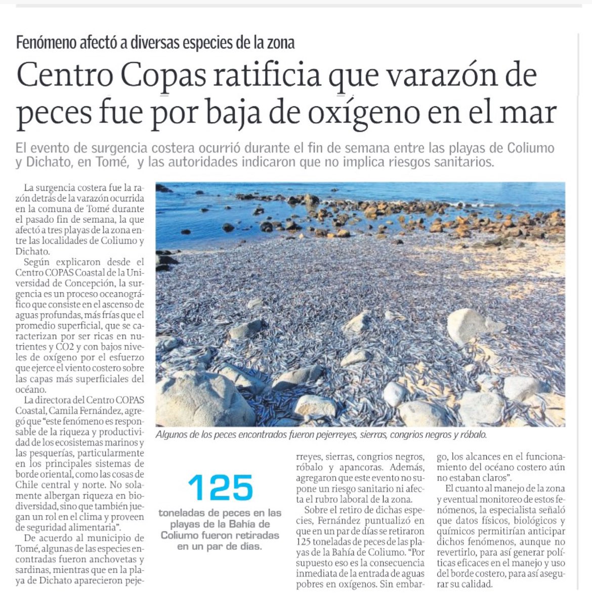 COPASCoastal's tweet photo. En la edición de hoy @elsurcl publicó el análisis científico del Centro #COPASCoastal, sobre la varazón de peces en la Bahía de Coliumo, comuna de @munitome, fenómeno que concitó el interés regional y nacional https://t.co/V2hzWd8GH1 @Ciencia_UdeC @udeconcepcion #UdeCenLosMedios https://t.co/K2NCimChfd