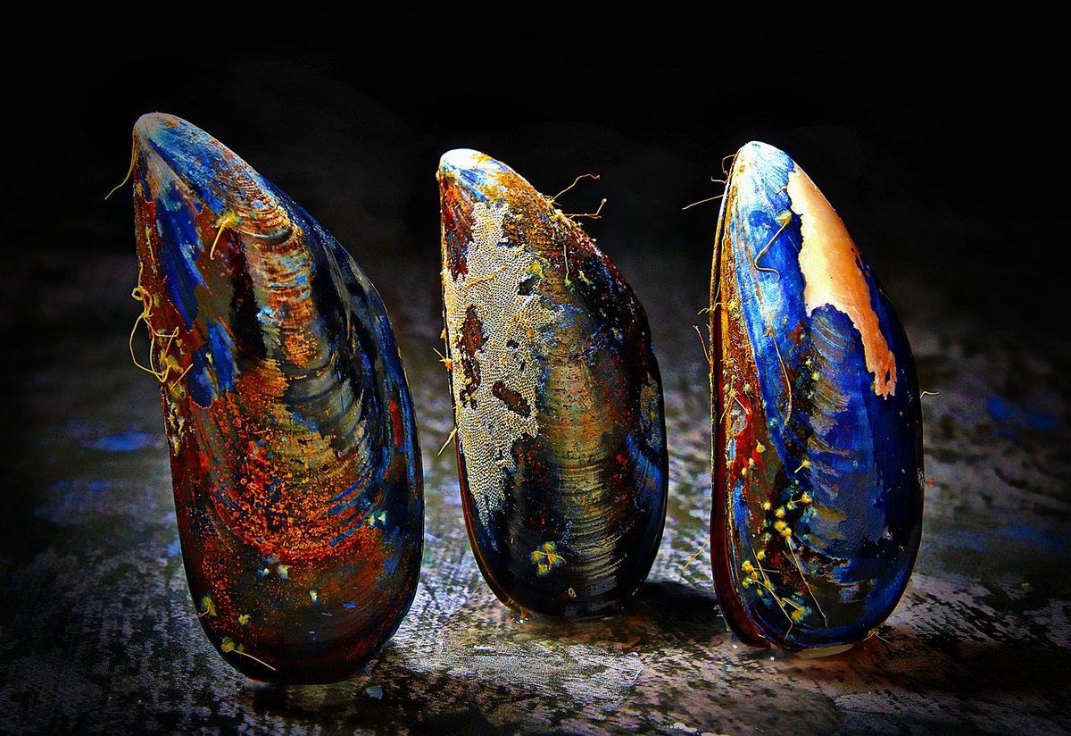 Food Photography: Allen Markey
photography-am.co.uk