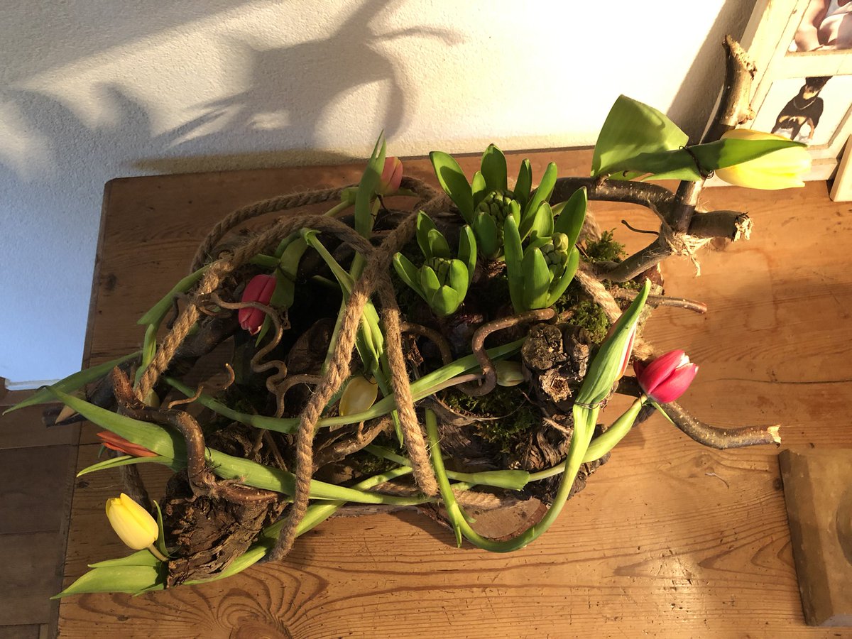 TheaDevries13's tweet photo. Wat te doen met tulpen ? https://t.co/KehOR8raJ7