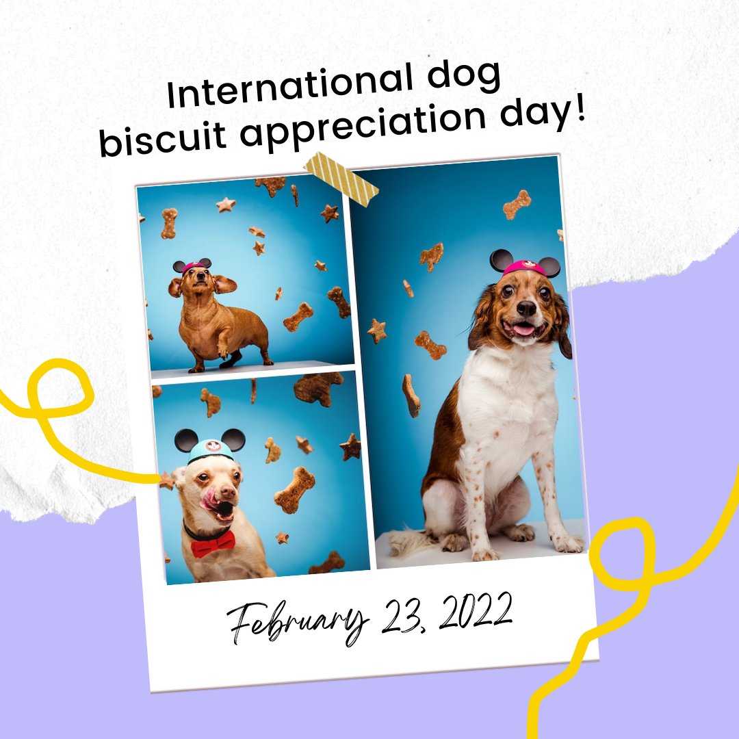 FoundSpotlight's tweet image. Could it be the best day of the year? It's Dog Biscuit Appreciation day! 🐕 Let us know in the comments which recipe wags your dog's tail!  🐶 
.
.
.
#dogbiscuitappreciationday #spotlight #jointheconversation #letschat #dogs #DogsofTwittter