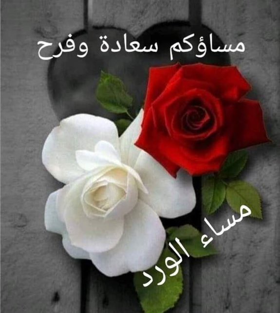 Fk_1249's tweet photo. https://t.co/0OvZkTG9BM