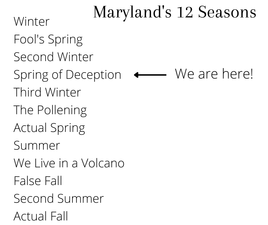 MDMEMA's tweet photo. It’s been feeling like spring for some of you out there, but don’t pack away your winter coats yet, folks! In typical Maryland fashion, our great state is going to change the thermostat soon. Parts of Western MD are seeing a blast of winter tomorrow through Friday. (1/2) https://t.co/hy3PmcuQmG
