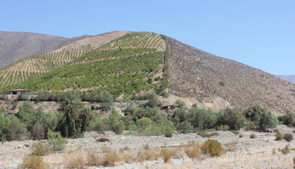 PDesolacion's tweet photo. #NoALosRulos

Se oponen a este #proyecto que pasará por #exclusivos condominios de #Fachos y no a la #Destruccion de Miles de #Hectareas d  #Bosques  esclerofilos  en el Valle del #Aconcagua 
Miren los #Cerros el #monocultivo d#Paltos #Depredandolo  todo 

#NoEsSequiaEsSaqueo https://t.co/GADd89JlNB
