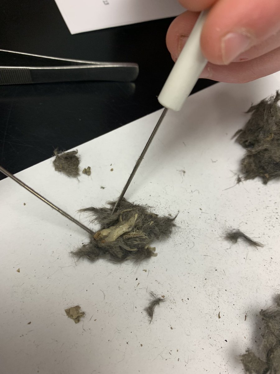 Mary Beth Gley tweet media