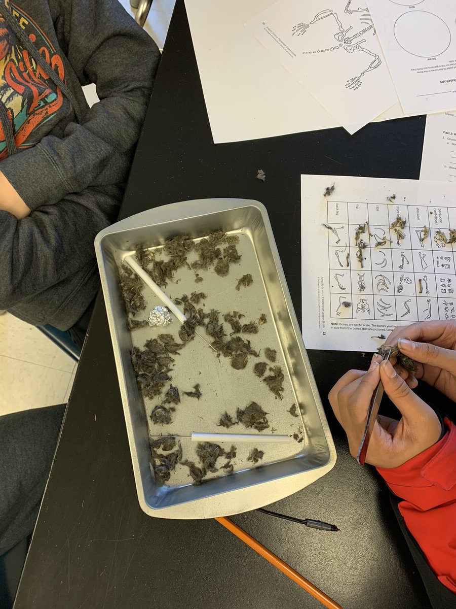 Mary Beth Gley tweet media