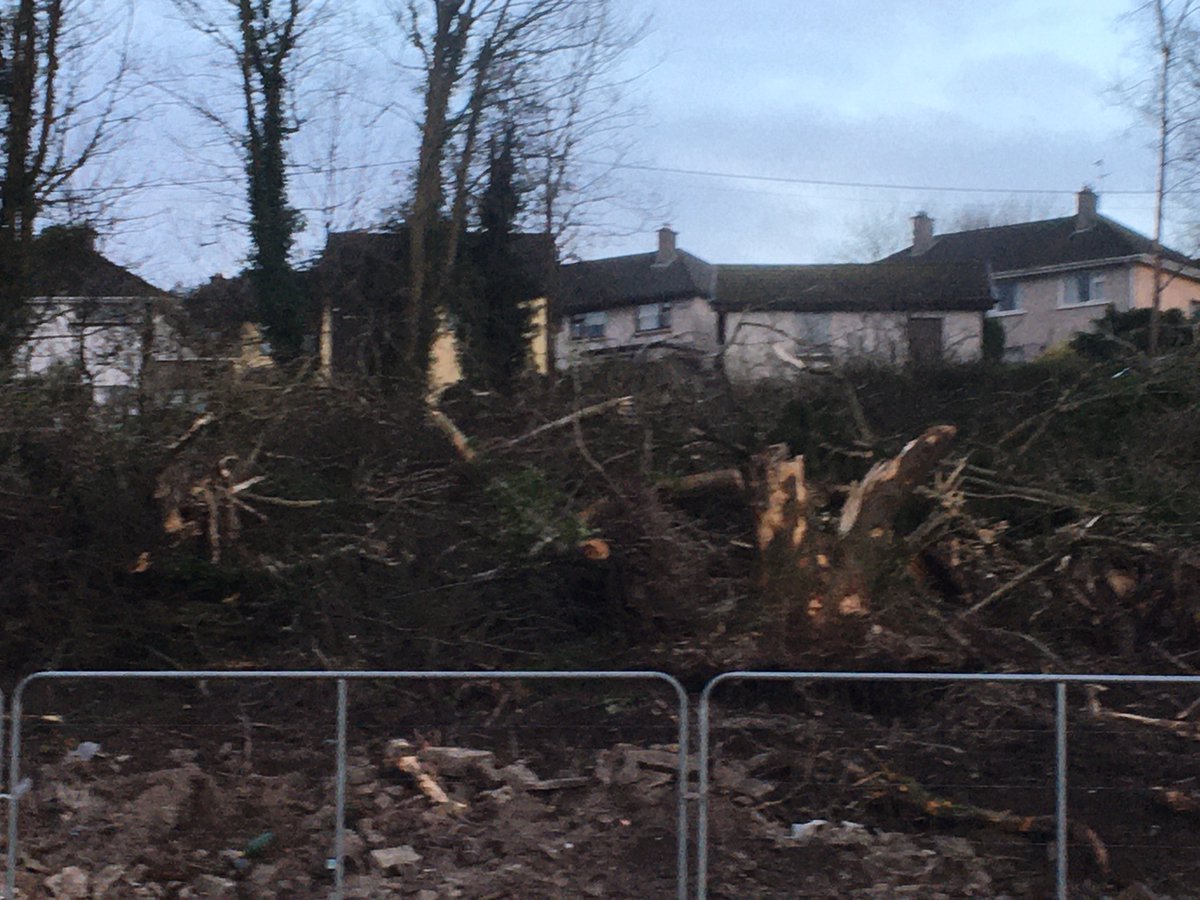 glenkingfisher's tweet photo. A big wooded area brutally ripped out on the Ballyhooly Road today. 30 trees gone. I wonder who gave Loftus permission to do something like this.🤔Is it up to citizens to search for murky online planning & figure out what’s going to go next? Who knew about this? #corkmissingtrees https://t.co/46iriUrza7