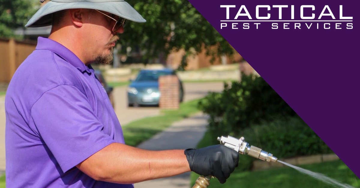tacticalpest's tweet image. Recurring pest control services are the most effective approach to eliminating pests. For recurring services, contact us today. 🖥 bit.ly/Tactical-Conta… or 📲(469) 654-4811 #recurringservice #tacticalpestservices #pestfree