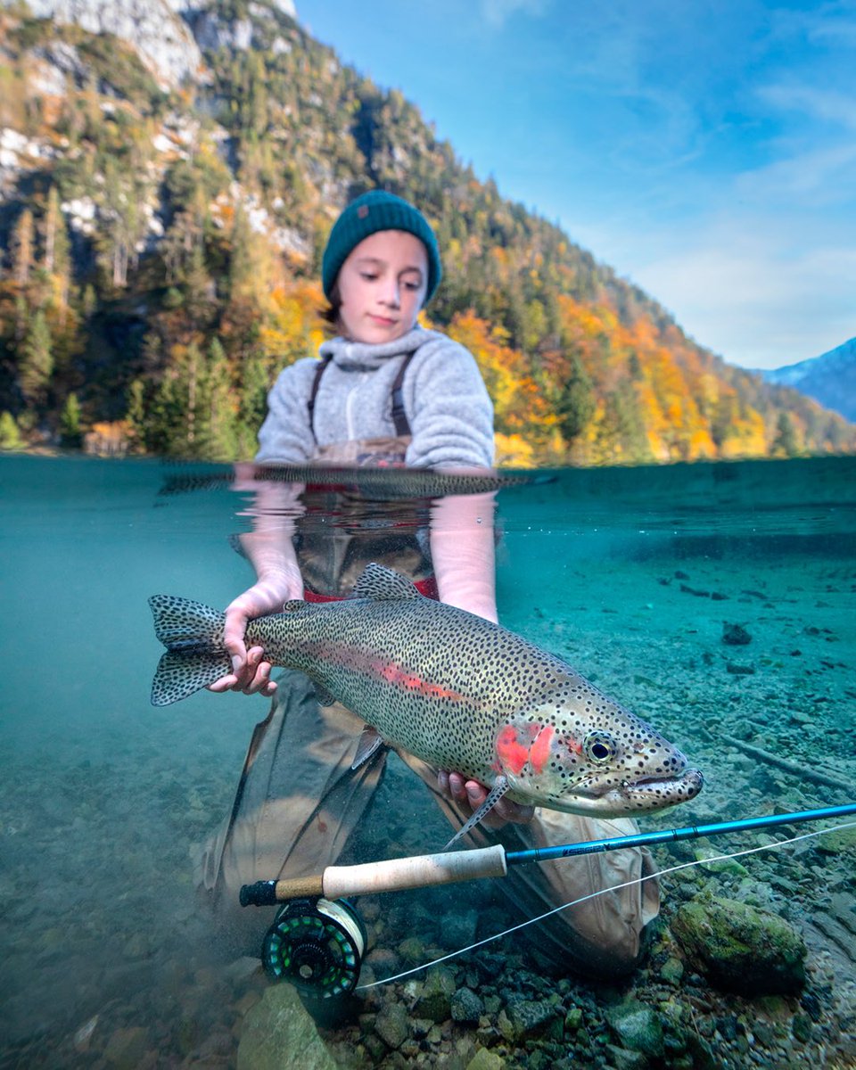 ahrexhooks's tweet image. Amazing photo by our good friend Frank Steinman.