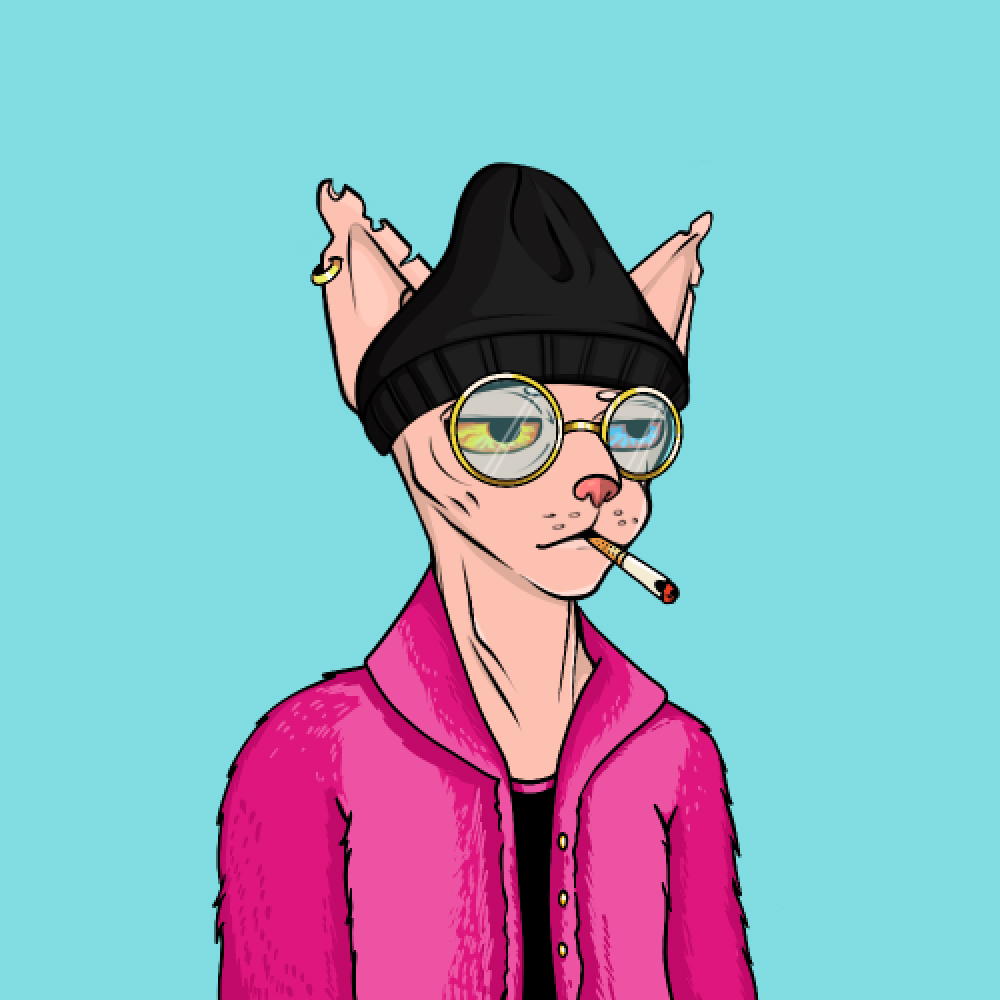 Sphynxes Like Warm Places NFT tweet media