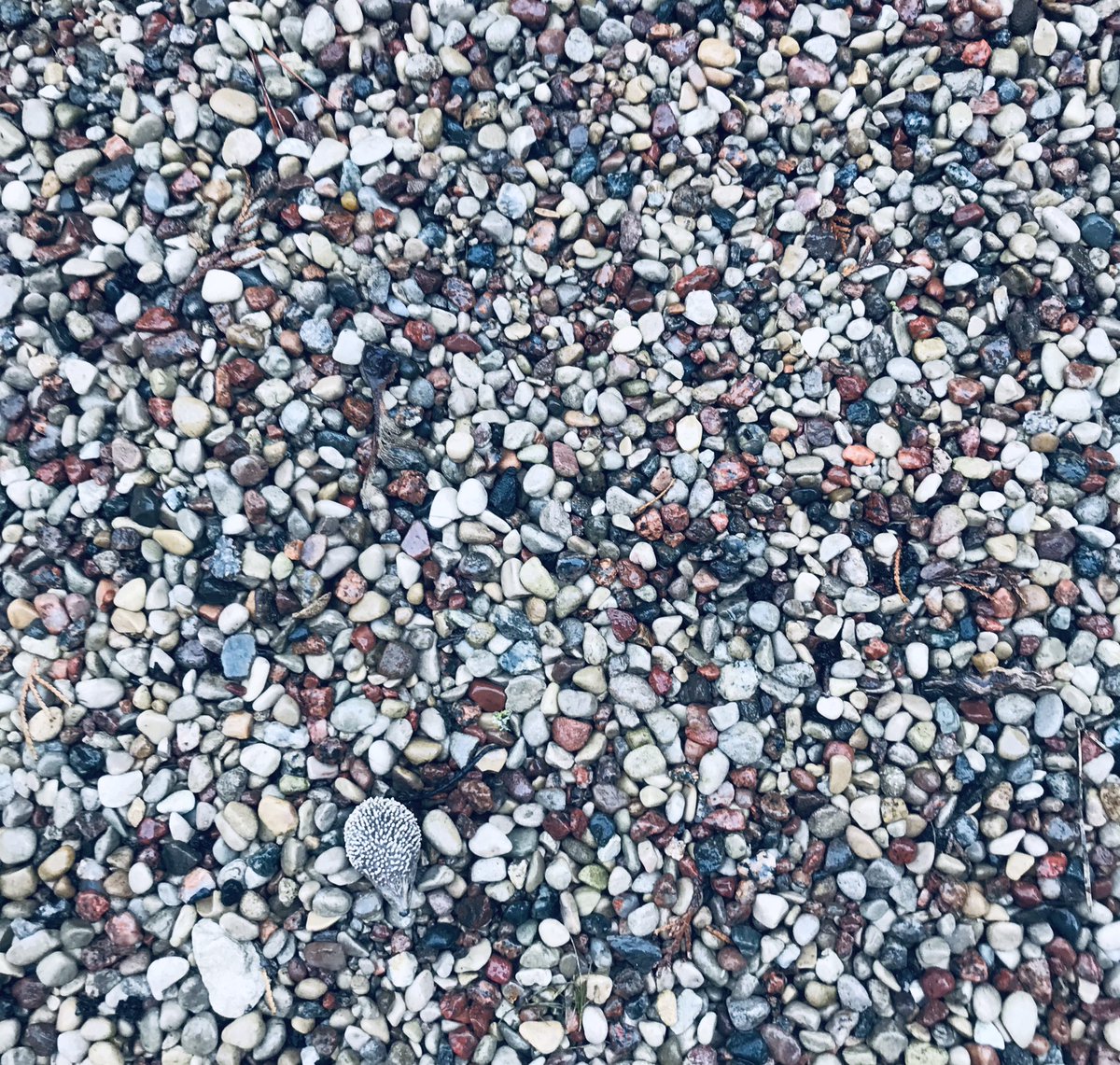 Alstudio18's tweet photo. Can you find one hidden follower? @withFND #follobackforfolloback https://t.co/3QsA7ZMMVH