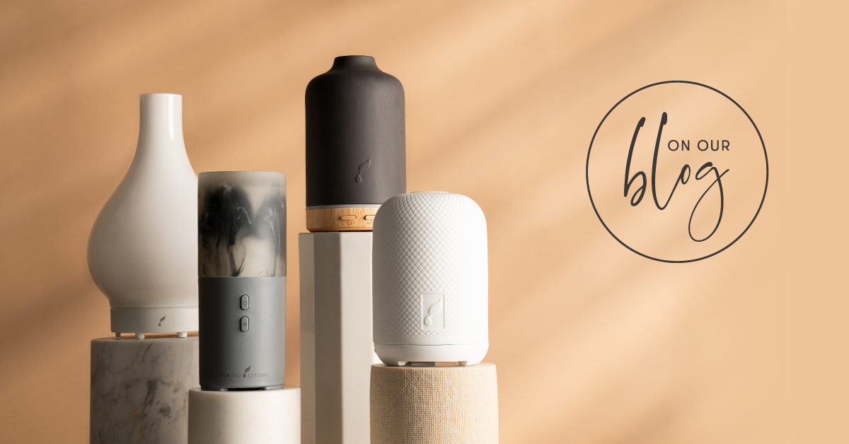 NightWellness's tweet photo. Which type of diffuser is right for you? https://t.co/SJjA3er6hU https://t.co/LFnVNAqprL