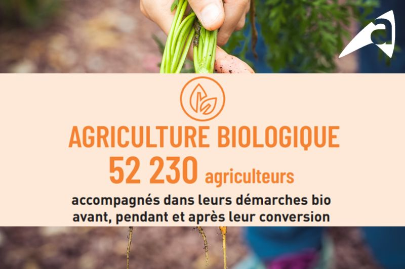 🎯Créer plus de valeur dans les territoires
➡️Les #ChambAgri ont à cœur de partager leurs compétences en bio
➡️Elles ont accompagné 52 230 agriculteurs dans leurs démarches #bio avant et après leur conversion
👉chambres-agriculture.fr/agriculteur-et…