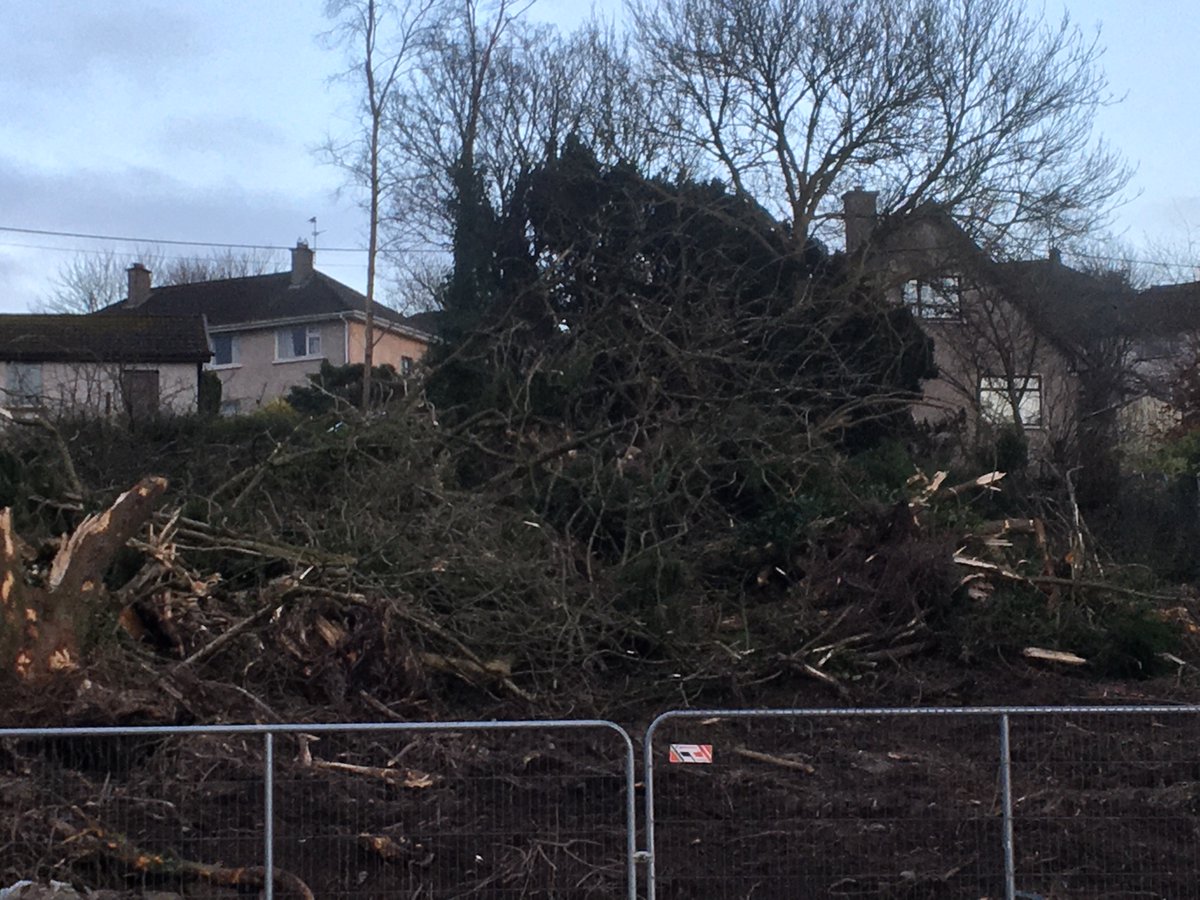 glenkingfisher's tweet photo. A big wooded area brutally ripped out on the Ballyhooly Road today. 30 trees gone. I wonder who gave Loftus permission to do something like this.🤔Is it up to citizens to search for murky online planning & figure out what’s going to go next? Who knew about this? #corkmissingtrees https://t.co/46iriUrza7