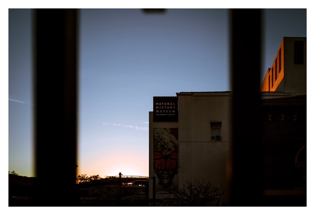 Jewell_Media's tweet photo. Golden hour in Los Angeles https://t.co/ofZKMh8sK4