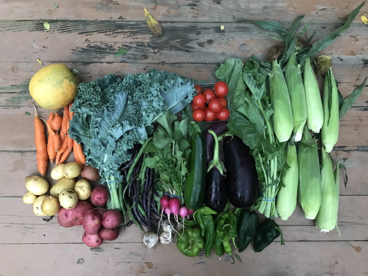 tantrefarm's tweet photo. Since this week is NATIONAL CSA WEEK, we are offering a $10 Early Bird discount for those of you who sign up for our SUMMER CSA this week! It starts the week of May 29 for 18 weeks for $650! Please email us for the Coupon Code before February 28 at info@tantrefarm.com. https://t.co/HiQGwRrOkh