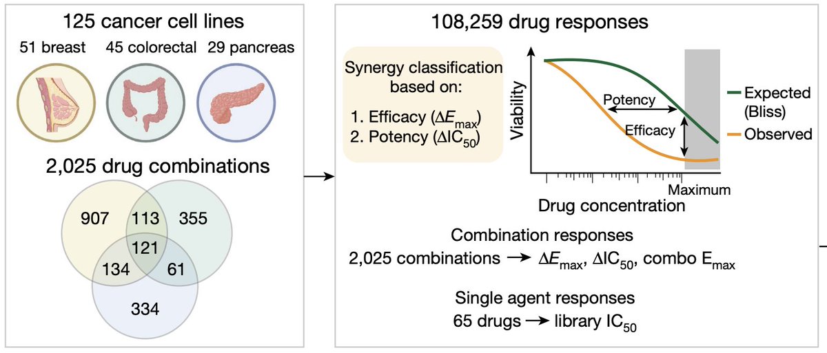 Drug combinations can overcome therapy resistance but the number of possible combinations is vast. Today we published @nature a study using pharmacological screens in cancer cell lines and multi-omics analysis to identify effective combinations in defined molecular backgrounds.