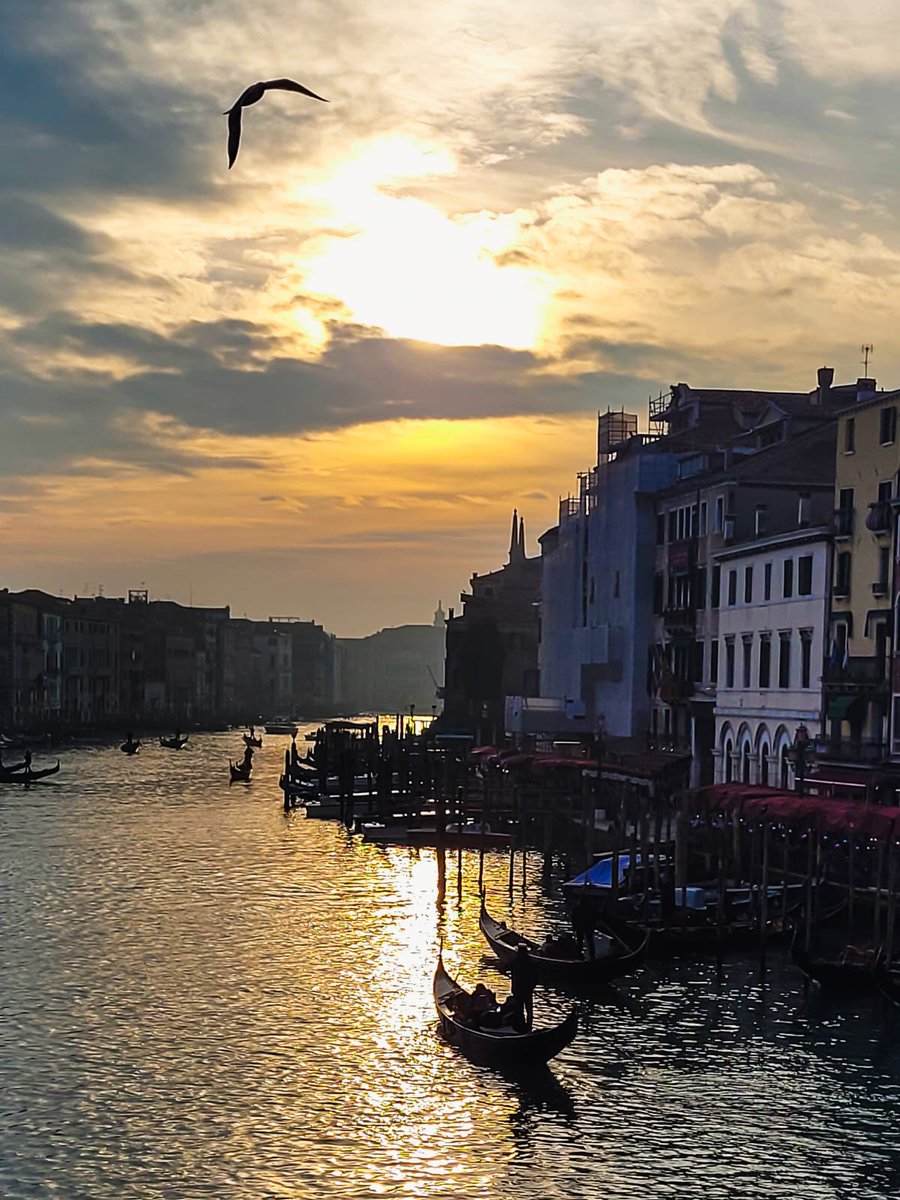 SimonVenturini's tweet photo. #VENEZIA • L'ora dorata in questi giorno dal Ponte di #Rialto, senza parole! https://t.co/Fo58xpoaEr