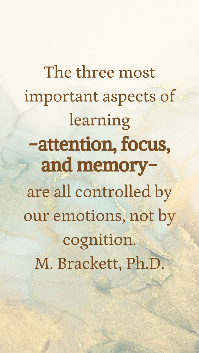 dsdsel's tweet image. 