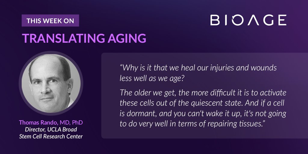 Translating Aging (@bioagepodcast) on Twitter photo How do our stem cells change as we age — and what can this teach us about resilience and regeneration throughout the lifespan? This week, we discuss these questions and more with <a href="/Thomas_Rando/">Thomas Rando</a>, director of <a href="/UCLAstemcell/">UCLA Broad Stem Cell</a>.
Episode: player.captivate.fm/episode/33d664…
(click ‘FOLLOW’) How do our stem cells change as we age — and what can this teach us about resilience and regeneration throughout the lifespan? This week, we discuss these questions and more with <a href="/Thomas_Rando/">Thomas Rando</a>, director of <a href="/UCLAstemcell/">UCLA Broad Stem Cell</a>.
Episode: player.captivate.fm/episode/33d664…
(click ‘FOLLOW’)