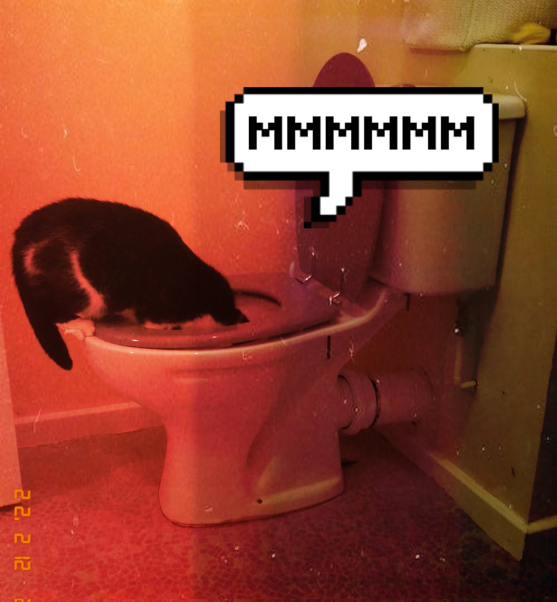 probablydrunk's tweet image. So I done did a website like what all the kids have now.

edgetrinkets.co.uk/2022/02/23/aba…

Please check it out and tell me what you think. And please Share and Enjoy