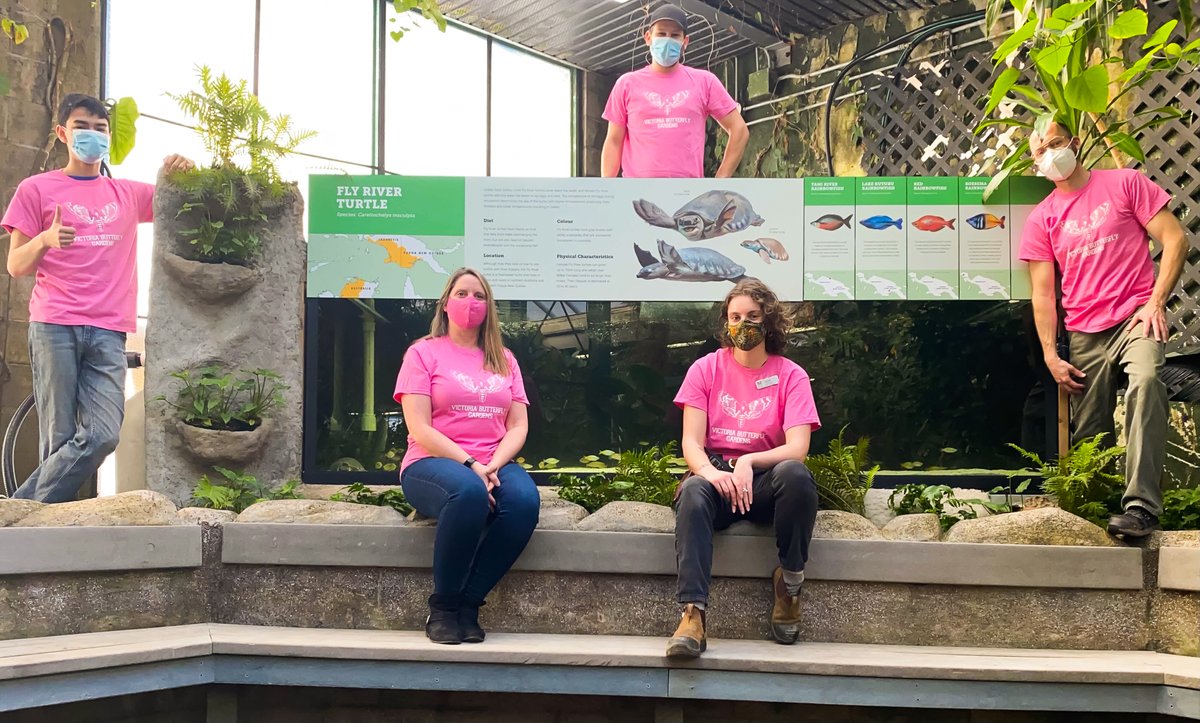 Butterfly Gardens tweet media