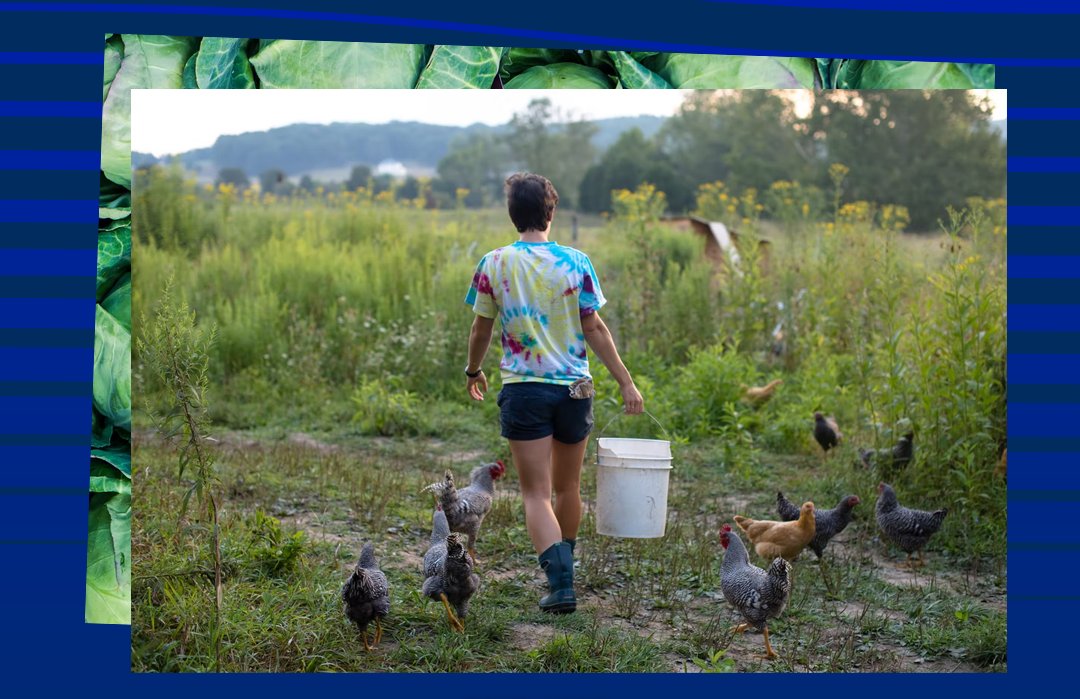 "An essential workforce that often suffers from a lack of resources and significant #healthcare disparity”

<a href="/UF_IFAS/">UF/IFAS</a> &amp; <a href="/UFMedicine/">UF Medicine</a> are on a mission to screen the near 200k migrant farmworkers across #Florida 

<a href="/UF/">FLORIDA</a> <a href="/LatamUF/">UF Latin American Studies</a> <a href="/CAFE_UFIFAS/">UF IFAS CAFE Latino</a> <a href="/UFCALS/">UF/IFAS College of Agricultural and Life Sciences</a> <a href="/UFHealth/">UF Health</a>  
biotech.ufl.edu/uf-ifas-uf-col…
