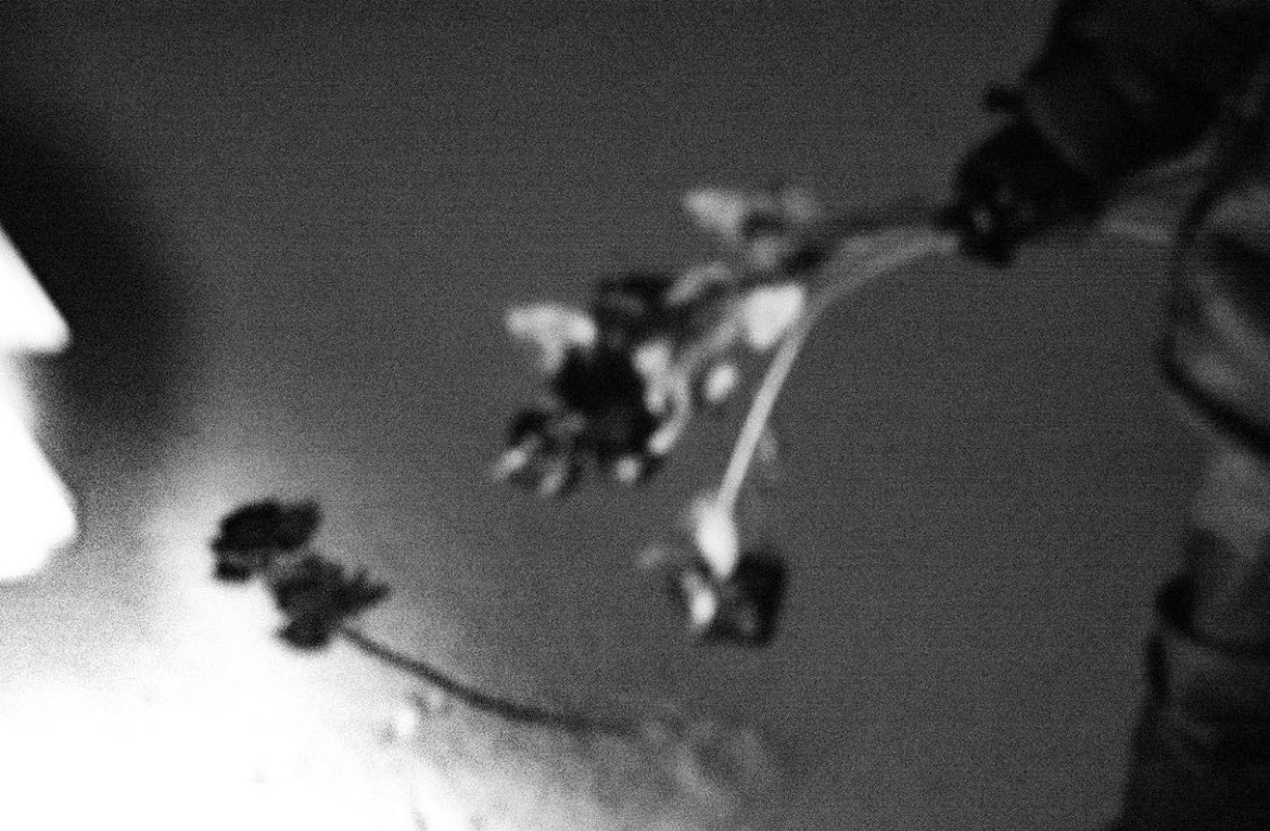 ShadesFrance's tweet photo. Josman semble commencer à teaser son prochain album, thème glacial…

« 🥀 ❄️ »

18 Mars ! https://t.co/N2UZhjZEDj