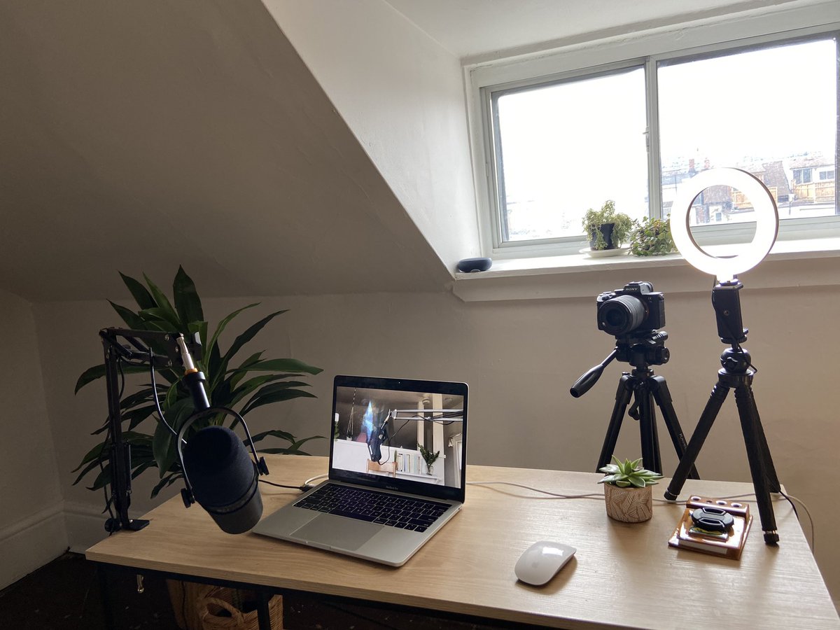 Ep. 1 w @carole_baskin &amp; <a href="/BigCatRescue/">Big Cat Rescue</a> kicks off in 1 hour

Going down in the <a href="/LostCatFC/">Lost Cat FUD Club</a> Discord. Probably nothing… 😼