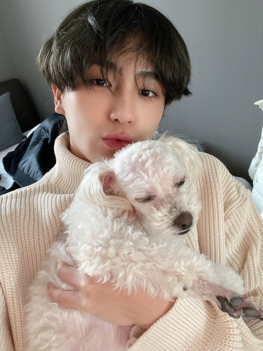 leehyuinzae's tweet photo. Meet Bori, the cutest puppy I've ever met (still after Darong). Seems Bori know how to pose as well. 🐶 https://t.co/5kM4r5YyMO