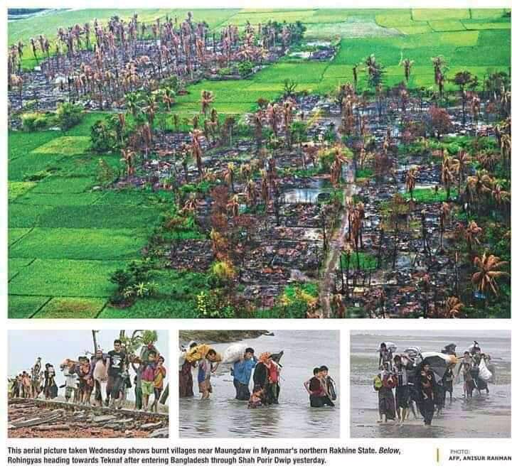 AhasanFrom's tweet photo. #RohingyaMuslims

First, especially a lot of thanks for Gambia from the side of Rohingyas.

This is a biggest genocide in the world on Rohingya 😭
The Myanmar's genocide military government raped the Rohingya 😭 and killed a lot of people in Myanmar.
And burned houses and village https://t.co/BWwodEgTqz
