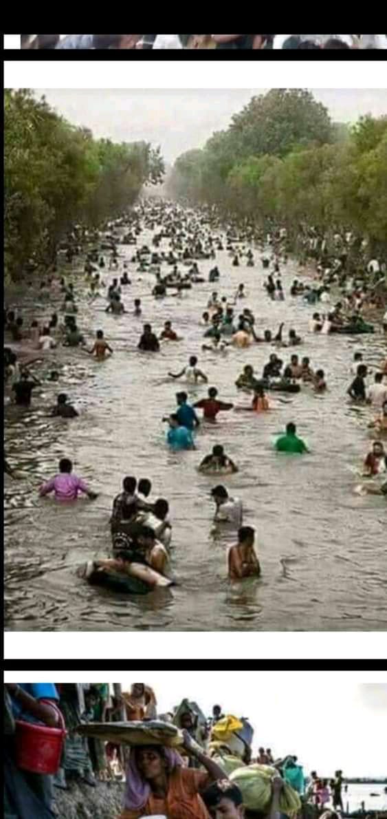 AhasanFrom's tweet photo. #RohingyaMuslims

First, especially a lot of thanks for Gambia from the side of Rohingyas.

This is a biggest genocide in the world on Rohingya 😭
The Myanmar's genocide military government raped the Rohingya 😭 and killed a lot of people in Myanmar.
And burned houses and village https://t.co/BWwodEgTqz