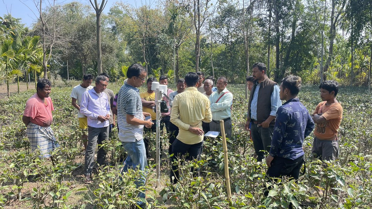 Raju Boruah tweet media