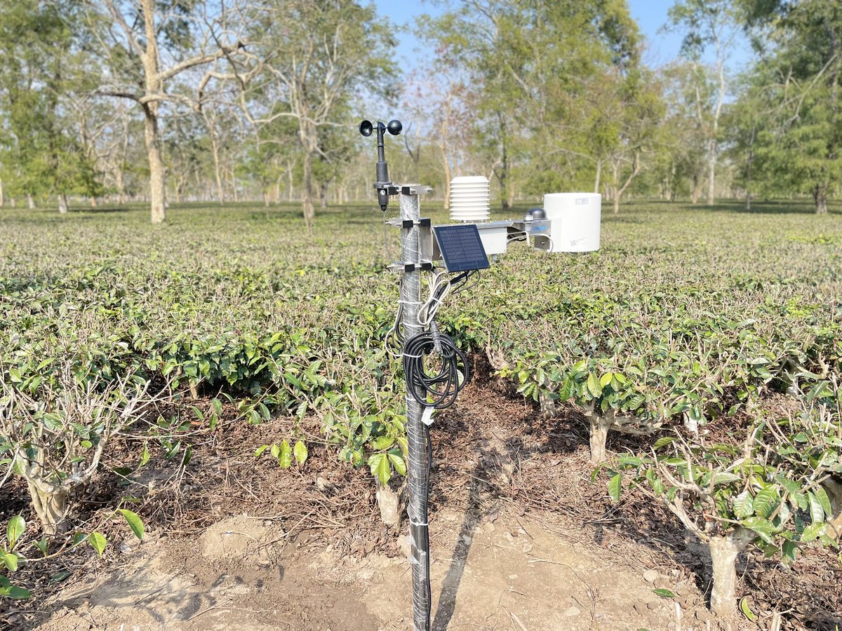 Raju Boruah tweet media