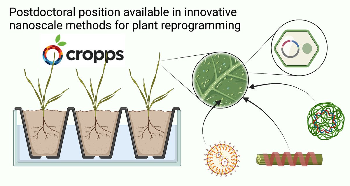 alabilab.com/single-post/po…
