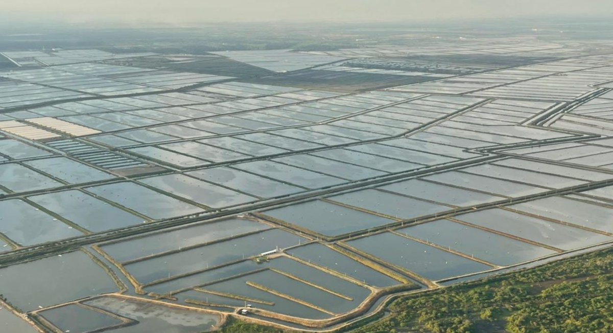 undercur's tweet photo. Trade insights: Ecuador shrimp exports off to strong start in 2022, reports Louis Harkell https://t.co/8PwIqutAla https://t.co/FmaZp5Sz6V