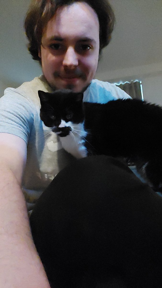 nocaptainkwint's tweet photo. Babysitting.
Yeah, I'm the cool uncle so I'm watching Cowboy Bebop with her.
#oreocat
#lola
#CatsOfTwitter https://t.co/r8lTM7U9By