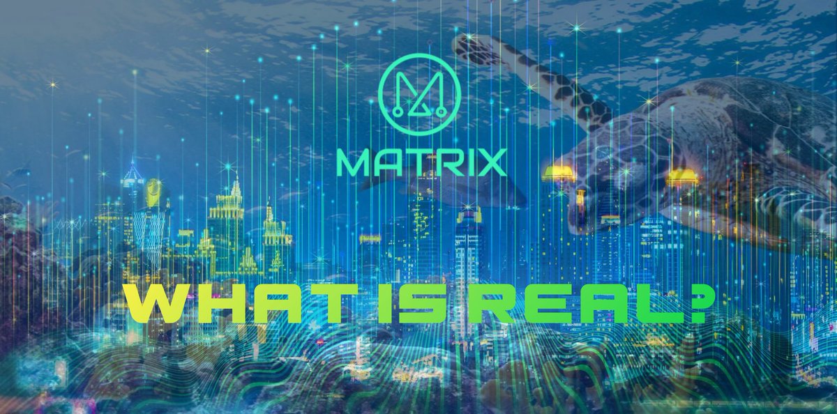 MATRIX(Real PFP) tweet media