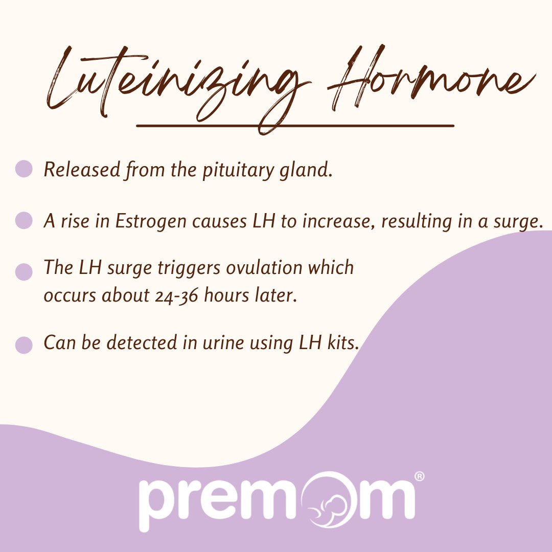 premomfertility's tweet photo. Ever wonder what LH is and why do we test it for ovulation?
You can easily keep track of all of your LH results and know when you are ovulating with the Premom app!
#Premom #PremomApp #Ovulation #OvulationTracking #LHTracking #LHKits #LHSurge #TTC #TTCJourney #CycleTracking https://t.co/eV92qvSeFj